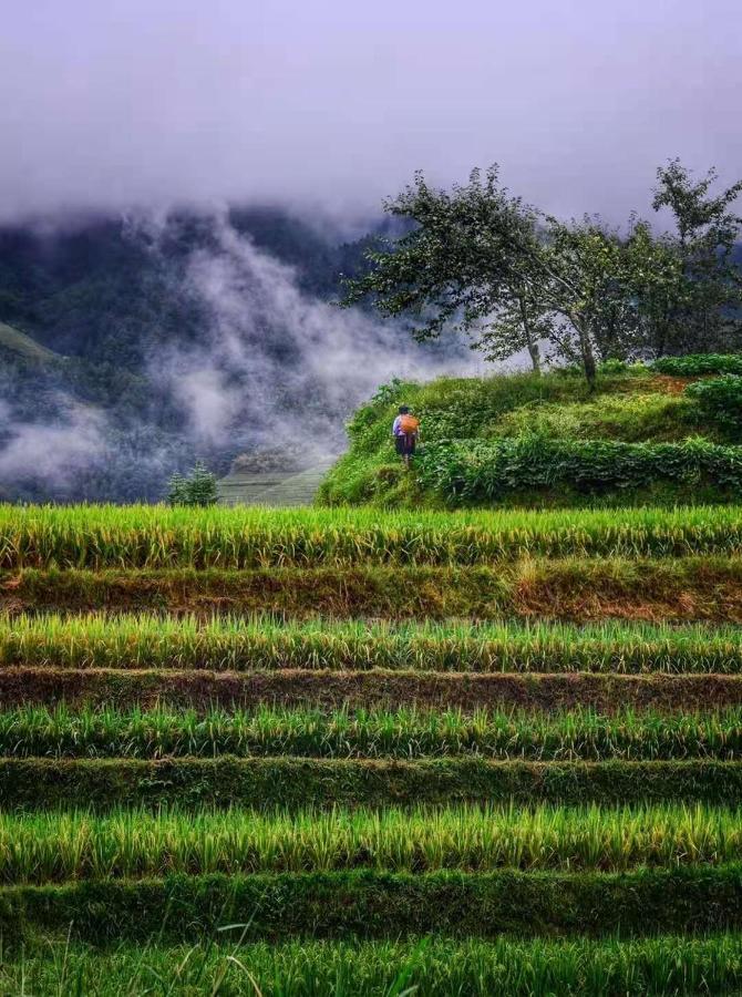 Longji Terrace La Vie Inn 룽성 외부 사진