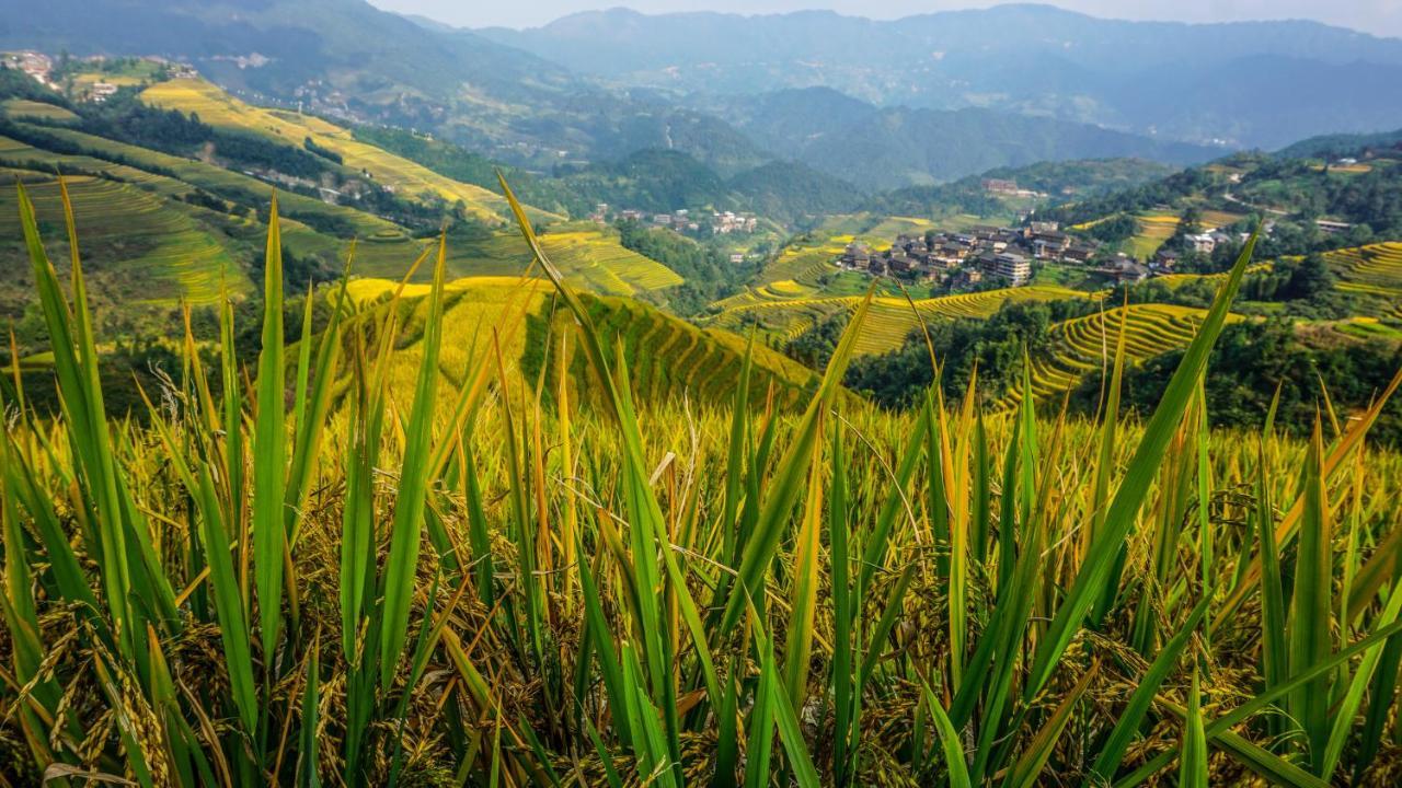 Longji Terrace La Vie Inn 룽성 외부 사진