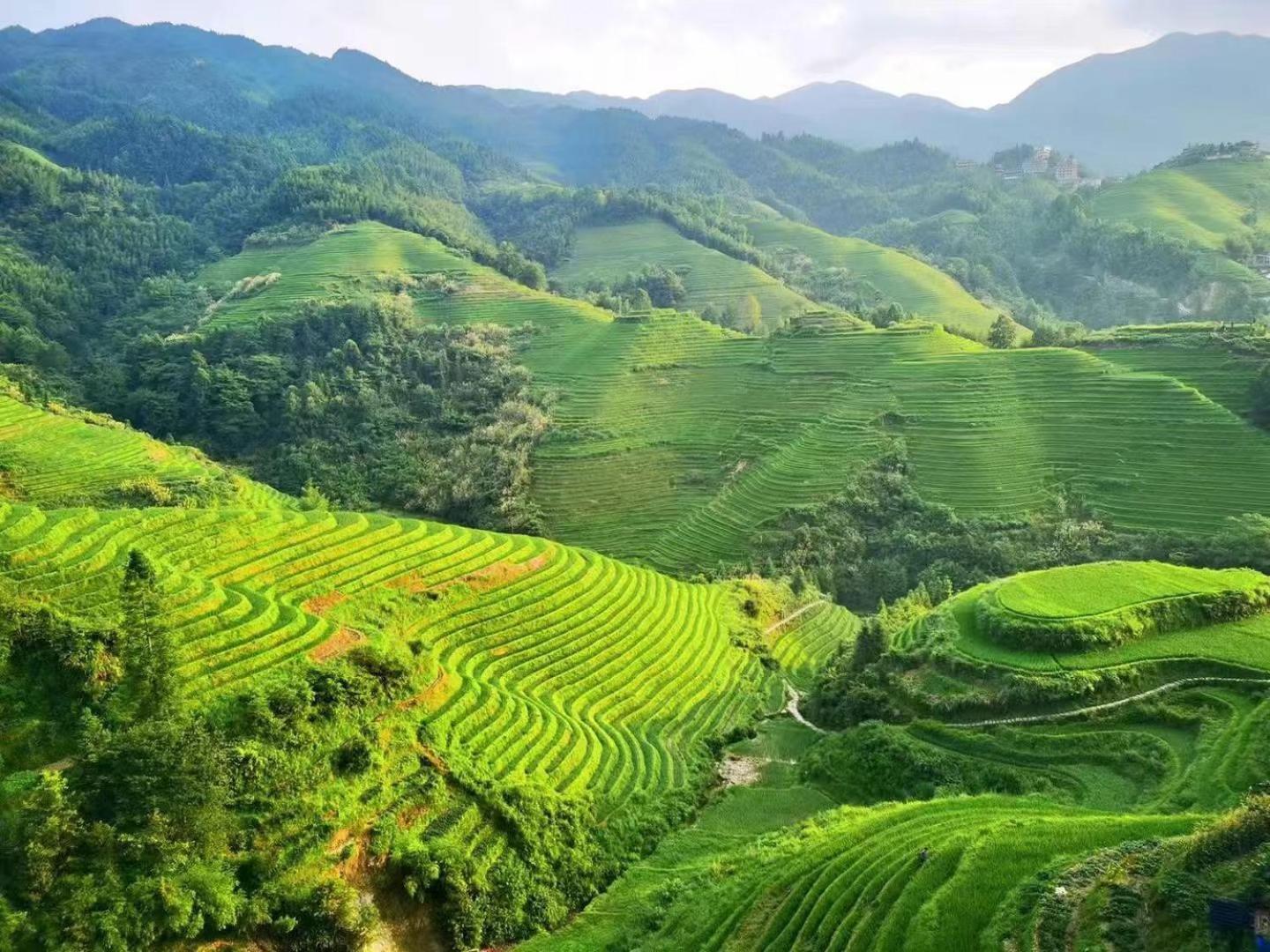 Longji Terrace La Vie Inn 룽성 외부 사진